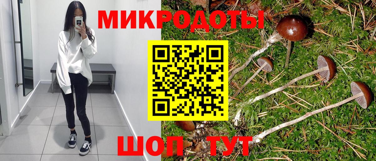 Комсомольск-на-Амуре  Псилоцибиновые грибы Magic Shrooms  Вход с VPN 
